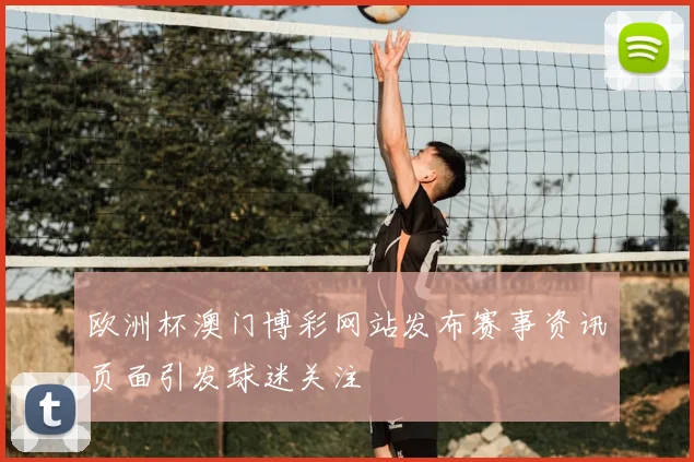 欧洲杯澳门博彩网站发布赛事资讯页面引发球迷关注