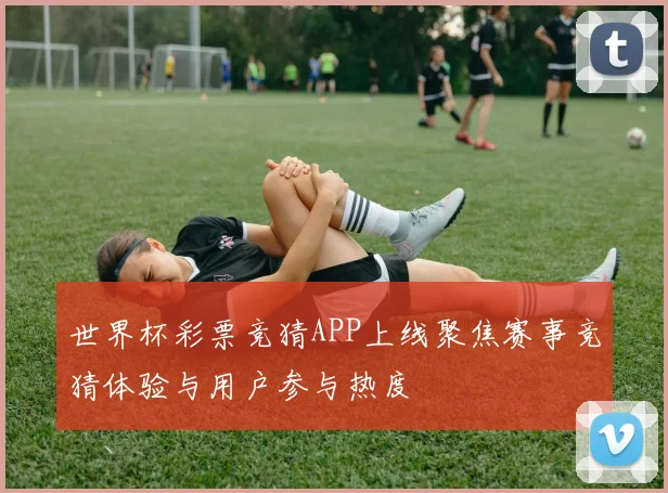世界杯彩票竞猜APP上线聚焦赛事竞猜体验与用户参与热度