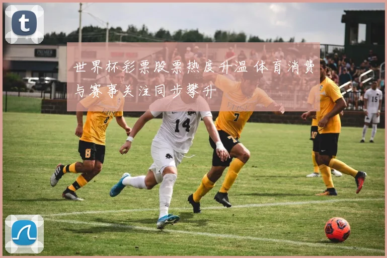 世界杯彩票股票热度升温 体育消费与赛事关注同步攀升